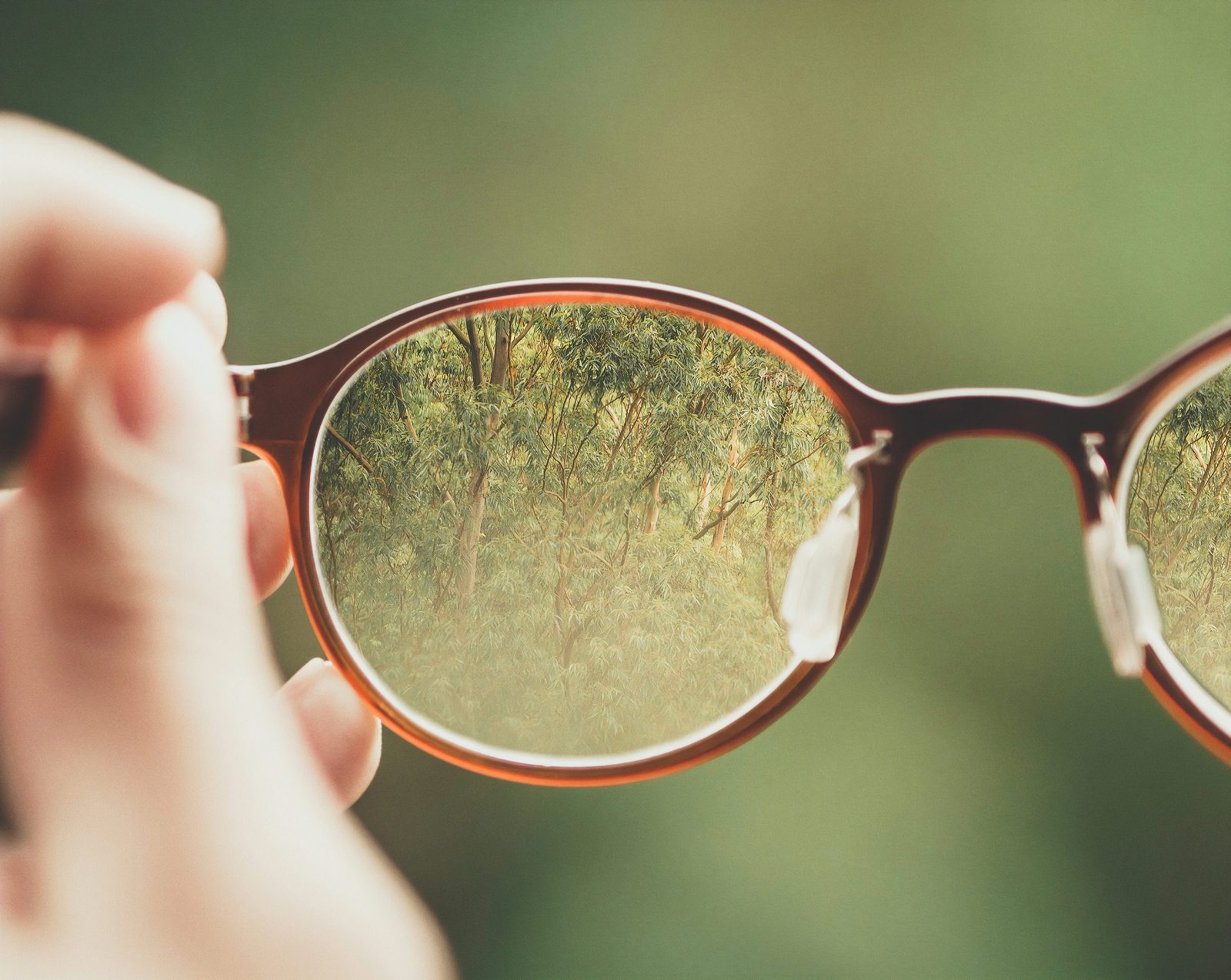 Illustrative close-up of eyeglasses held in natural light